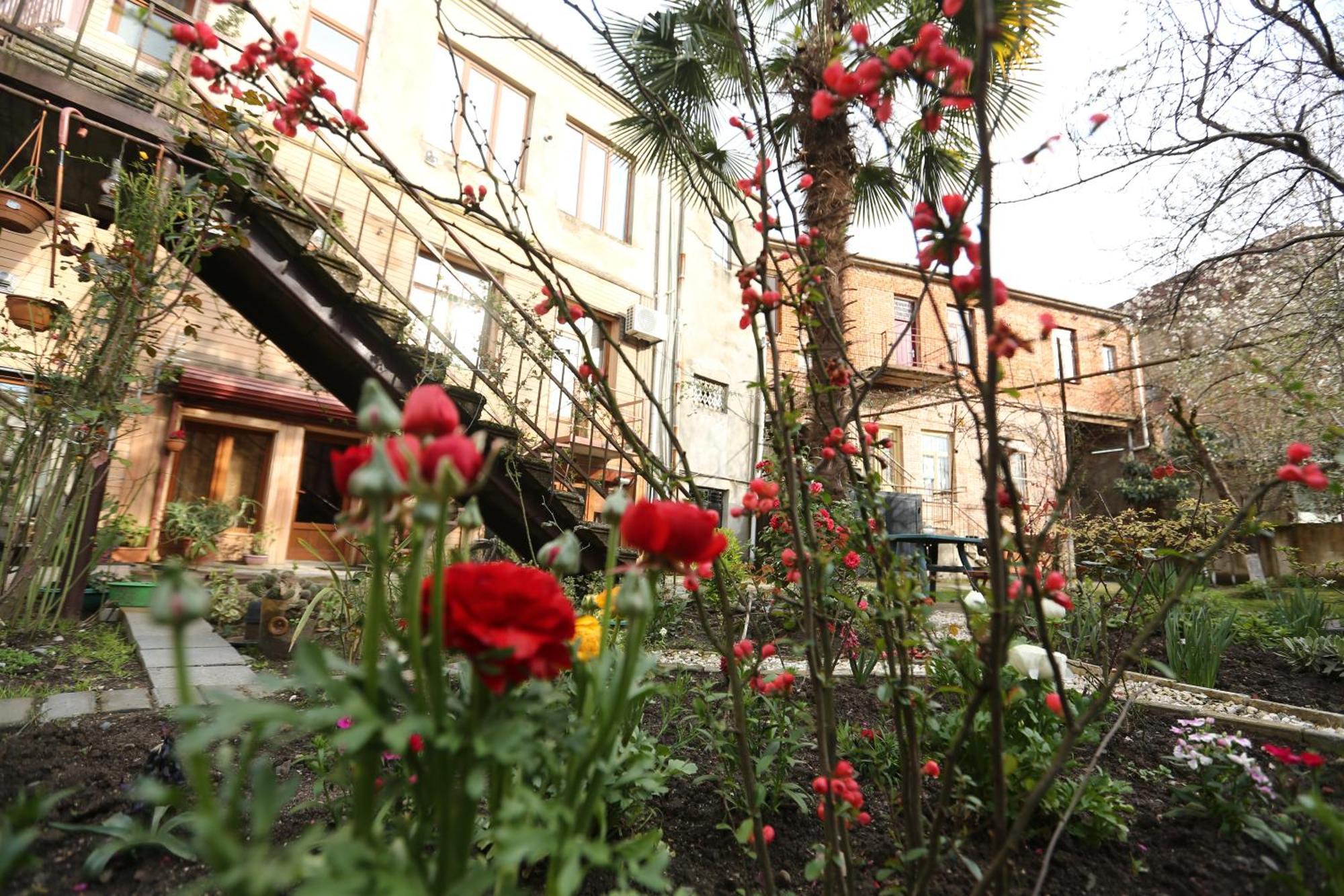 Feola Hostel คูทายสิ ภายนอก รูปภาพ